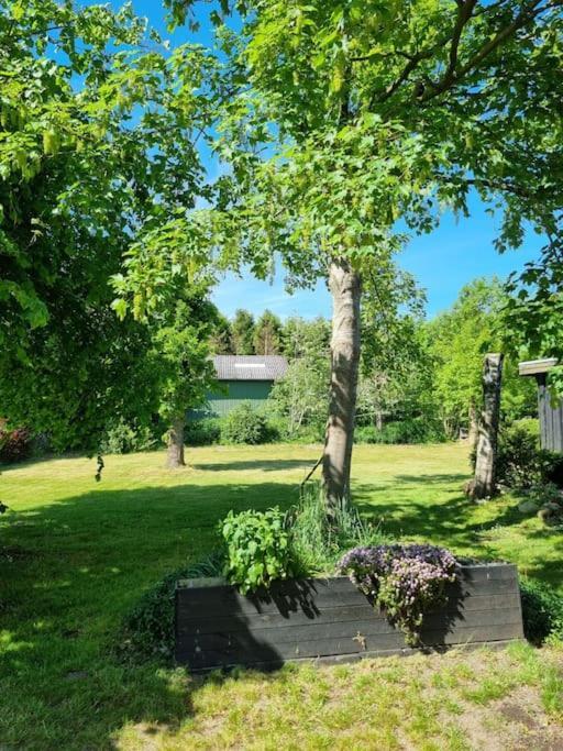 Willkommen In Frifelt Naehe Romo Mit Wunderschoenen Garten Skærbæk Exterior foto